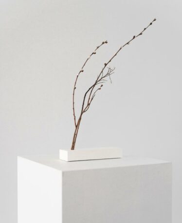 Aesence Journal | Solid Collection by Seppe van Heusden