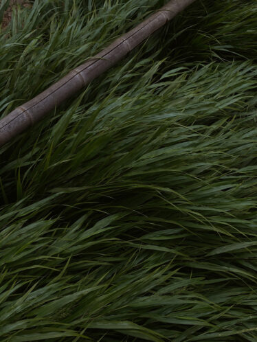 ©Minimalist Photo by Sarah Dorweiler