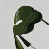 ©Minimalist Photo by Sarah Dorweiler