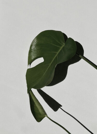 ©Minimalist Photo by Sarah Dorweiler