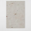Struan Teague, Untitled, 2022, pigment, dispersion, oil and pencil on linen, 160 x 110 cm © The Artist