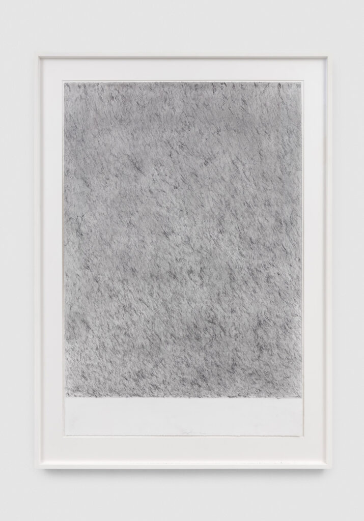 A hundred years slip by unnoticed, 1, 2024–25. © Sebastian Lloyd Rees. Courtesy of Vardaxoglou Gallery, London.