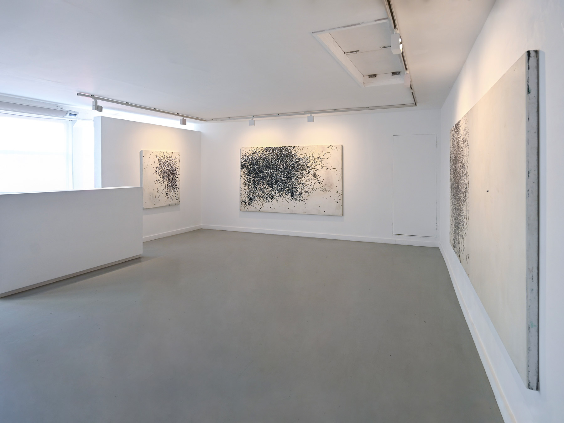 Installation View of Sam Lock's "Murmurations" on view at Anima Mundi Gallery St. Ives © Image Courtesy Anima Mundi Gallery