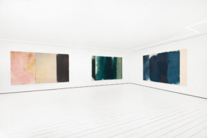 Sam Lock – ‘The forest, the flood, the sky’