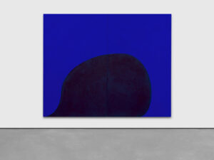 Suzan Frecon – The Light Factory