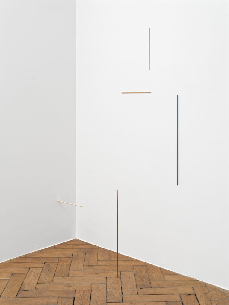 Exhibition view: Fernanda Gomes, Galerie Peter Kilchmann, 2025, Paris, France. Courtesy of the artist and Galerie Peter Kilchmann/Peter Freeman, Inc., Photo: Aurélien Mole