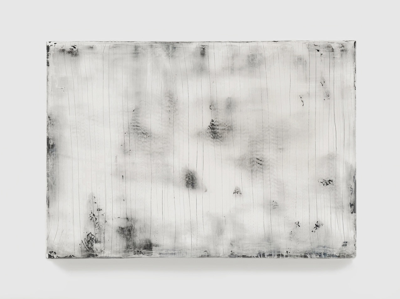 Hideaki Yamanobe, Misty Forest 2025-2, 2025, Acrylic on Canvas, 120x172.5 cm © The Artist