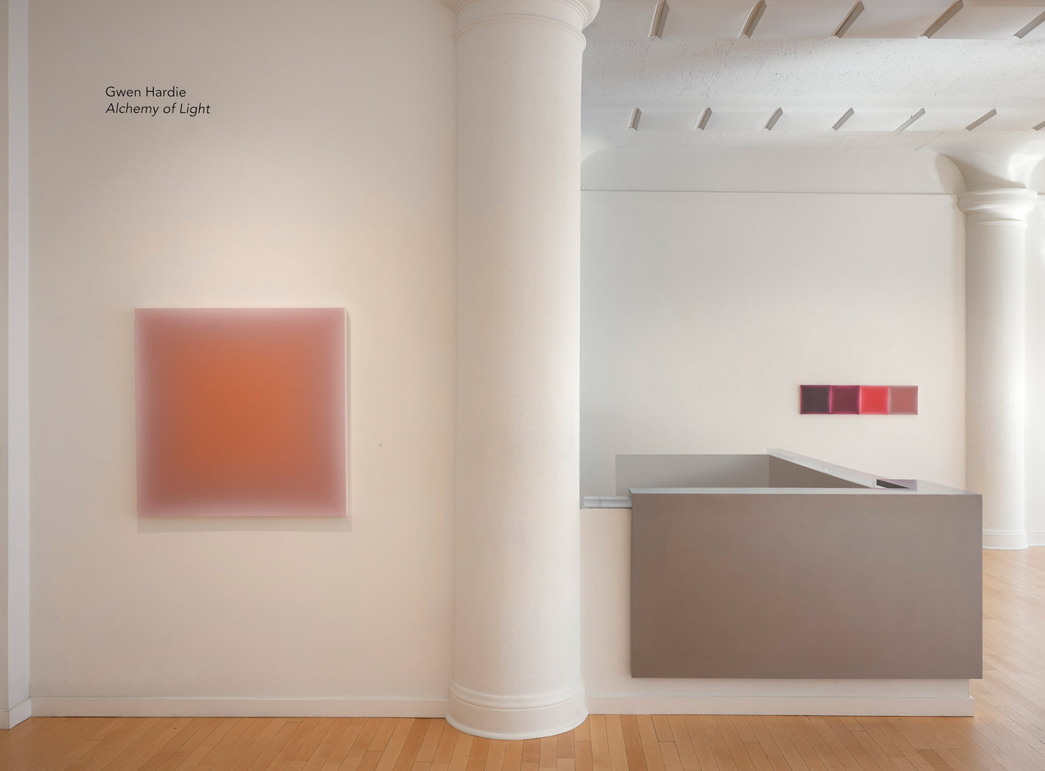 Installation view, Gwen Hardie: Alchemy of Light, 2026. Photo courtesy of Dolby Chadwick Gallery.